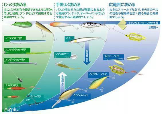 路亚新手教学动态图，够详细够全