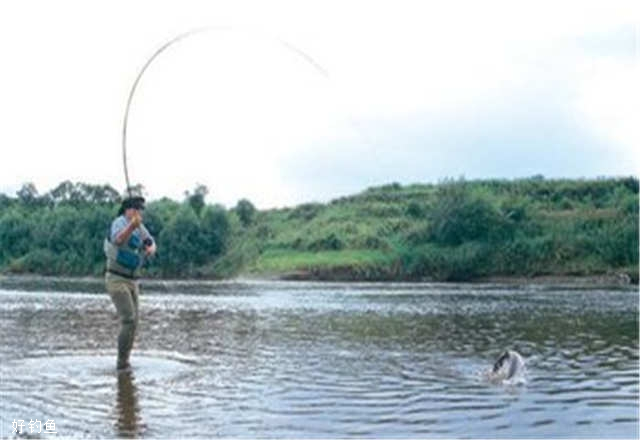 中国传统飞蝇钓鱼法的介绍大全