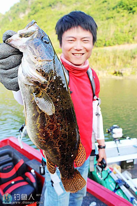 路亚鳜鱼季节作钓方式与飞蝇钓鳜鱼的技法