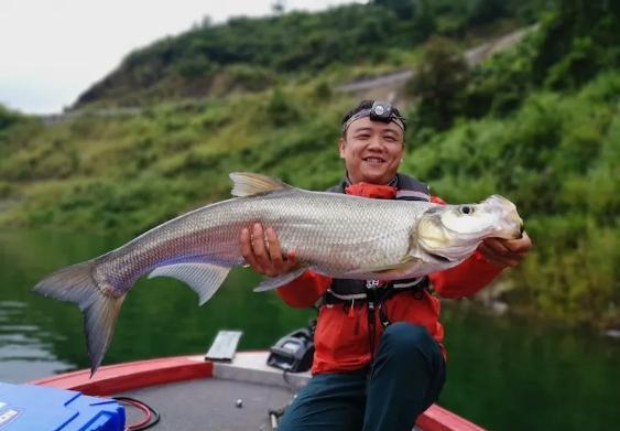 船钓红水河、谈水底结构、窗口期对翘嘴的影响和实战策略