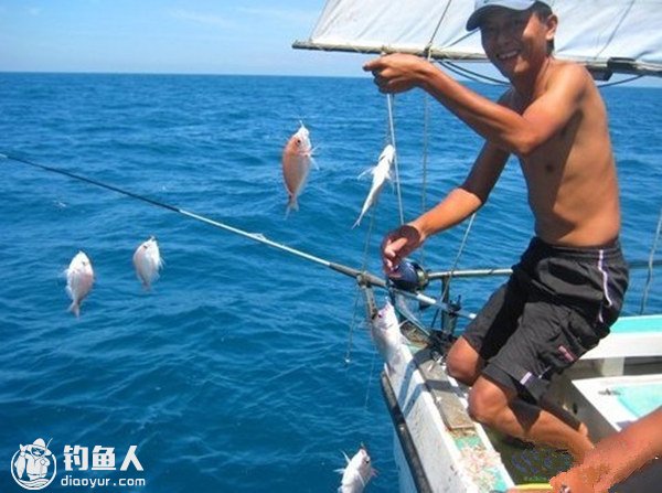 近海船钓的传统拉流钓法介绍与技巧