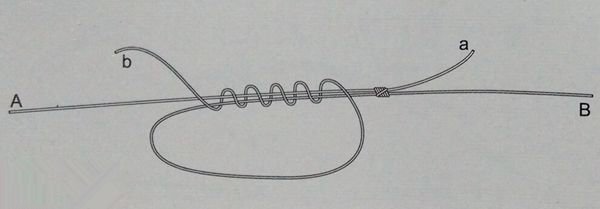 海钓（矶钓）的各种线结绑法
