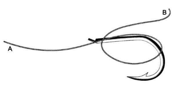 海钓（矶钓）的各种线结绑法