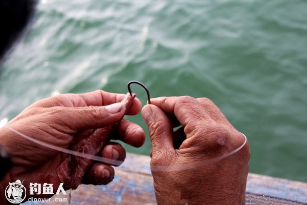 海钓钓饵与窝料的选用及介绍