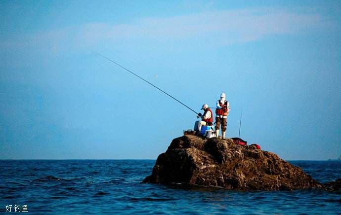 海钓入门需知道的鱼饵和钓具选择技巧
