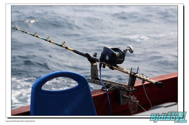 持续一周的南海油井海钓大物大物满载而归