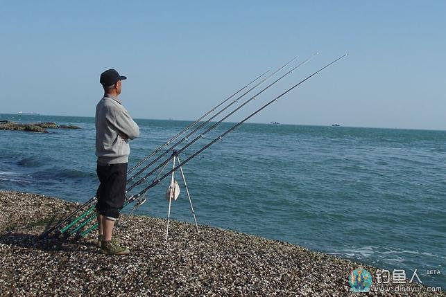 初学海钓者教你如何选择鱼饵及使用技巧