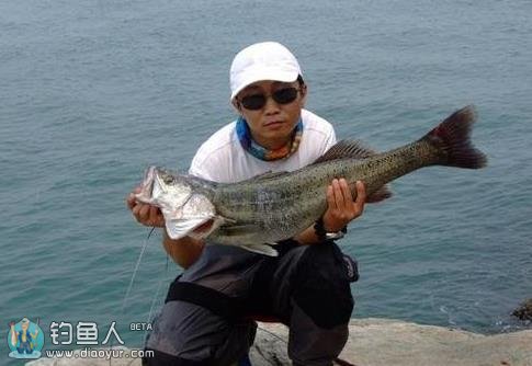 钓鱼高手海钓鲈鱼的常用钓法