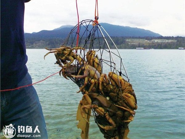 海岸垂钓的诱鱼鱼饵配置及渔具介绍