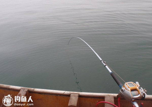日本笠鳚的海钓攻略之钓具、选点与钓饵的使用