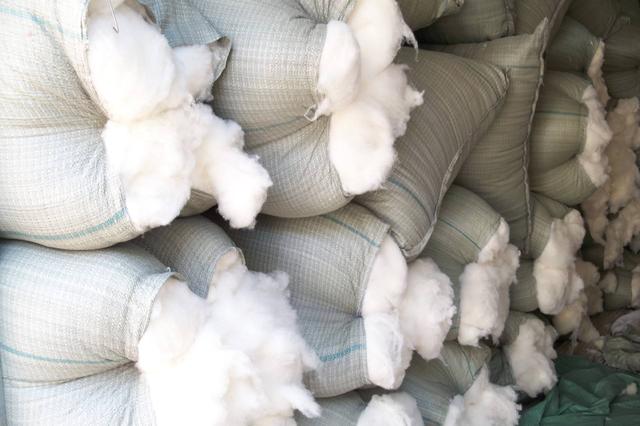 便宜又好用的手撕“羊绒棉”，到底是什么？你可能想多了