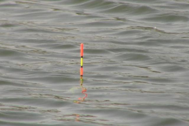 盘点钓鱼中浮漂出现的8个假信号，提竿不中鱼，有些还很常见