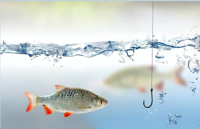 夏季钓鱼与其他季节不同，这些“铁律”一定要牢记！