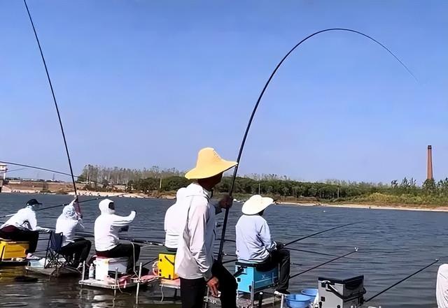 武汉两男子3小时野钓100多斤鱼，本该兴高采烈，反而一脸囧相