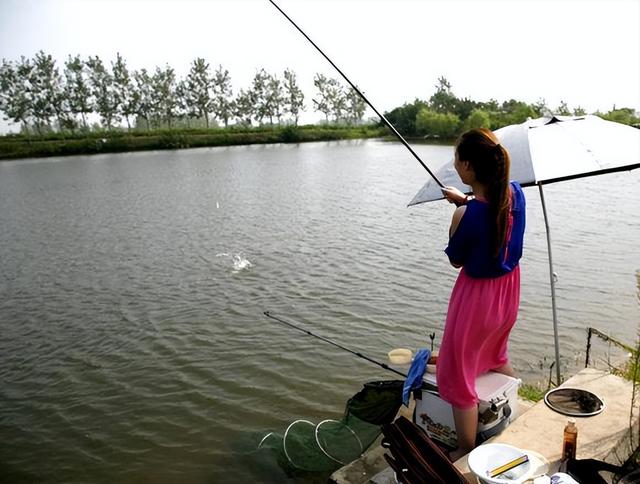 广东一河道被放生1000条鱼，密度大增，反而引来大批钓友吐槽