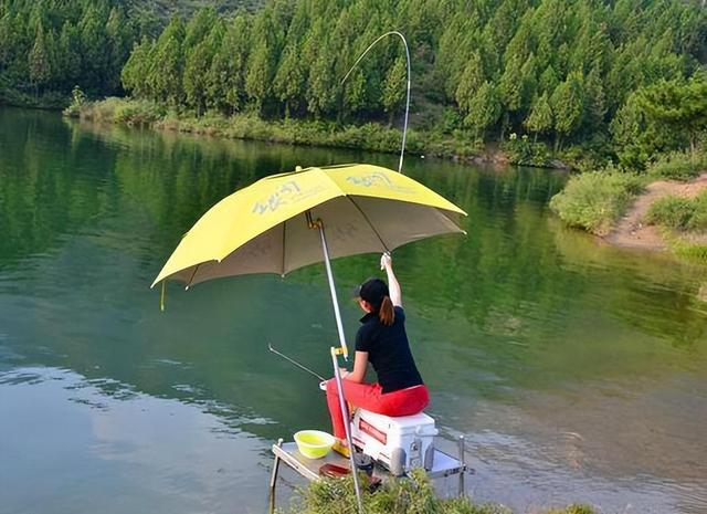 在酷暑的天气里钓鱼，注意使用这5个技巧，比以往渔获还多