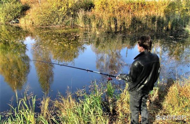 秋季真的是钓鱼的好季节？其实都是鲫鱼引起的误会